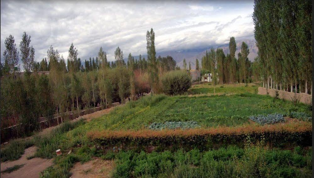 Hotel Ladakh Heaven レー エクステリア 写真