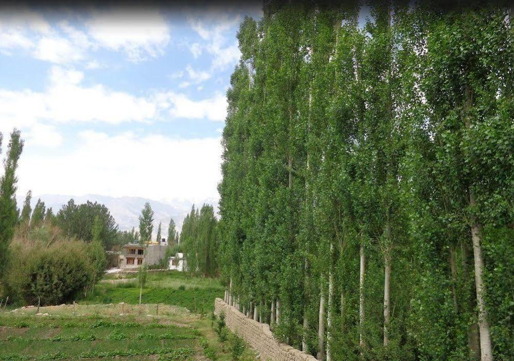 Hotel Ladakh Heaven レー エクステリア 写真