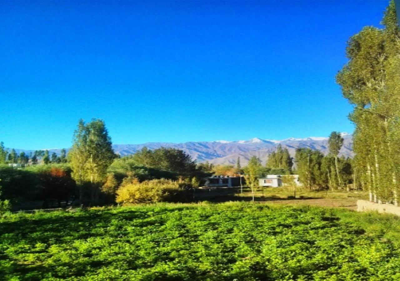 Hotel Ladakh Heaven レー エクステリア 写真