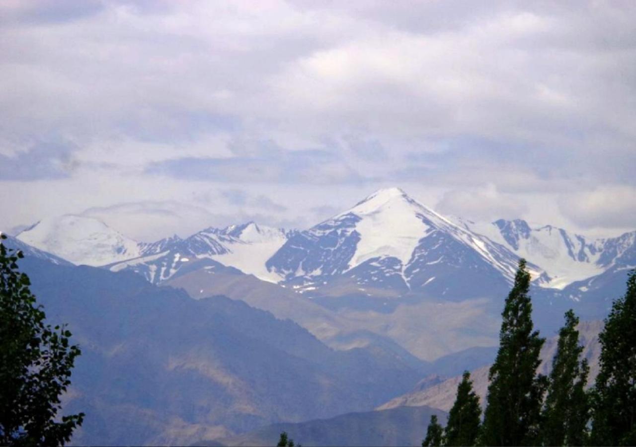Hotel Ladakh Heaven レー エクステリア 写真